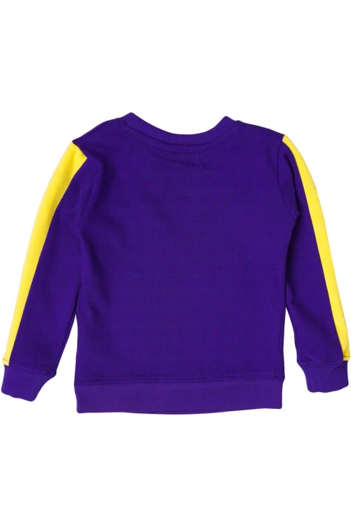 h&amp;m-fioletowa-dziecieca-bluza-batman-tyl.webp