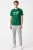 Regatta-meska-szmaragdowa-sportowa-bluzka-t-shirt-nadruk-model.webp