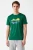 Regatta-meska-szmaragdowa-sportowa-bluzka-t-shirt-nadruk-model-glowne.webp